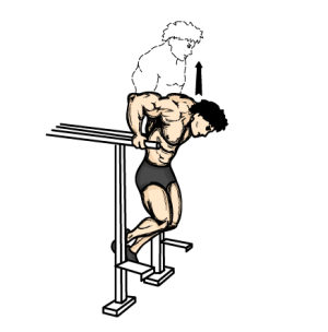dips-chest-workout-routine.jpg