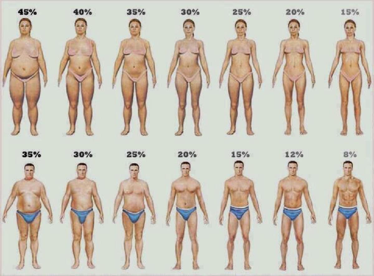 Φυσιολογικό ποσοστό λίπους στο σώμα ανά φύλλο και ηλικία