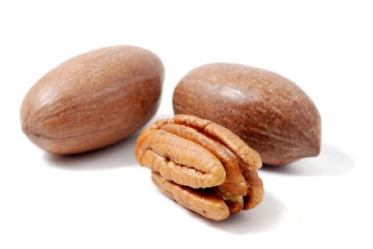 Pecan Nuts - Καρύδια πεκάν