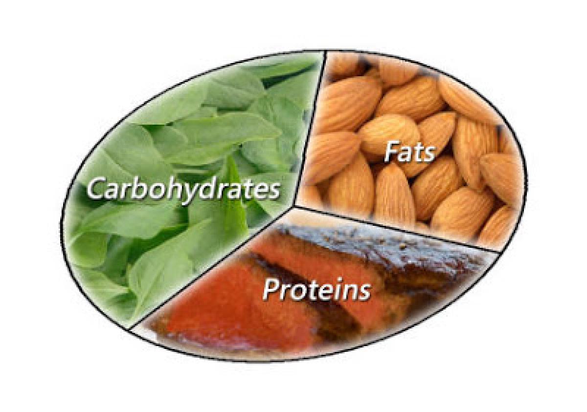 Πηγές πρωτεΐνης, υδατάνθρακα και λίπους