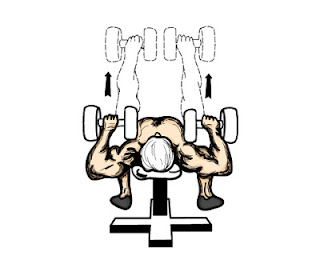 Dumbell-Bench-Press.jpg