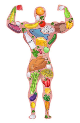 50549797-Athlete-food-healthy-people-Diet-protein-food-Sport-bodybuilder-fsfStock-Vector.jpg