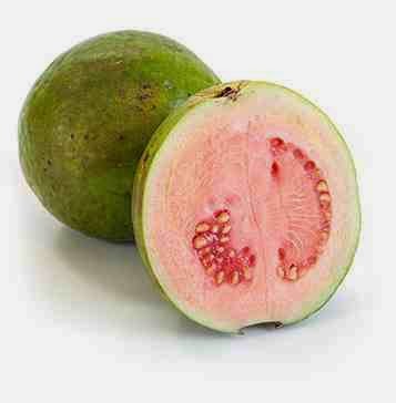 guava-ofeli.jpg