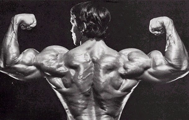 arnold-back.jpg